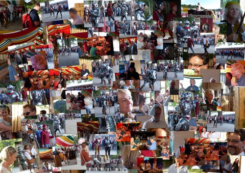 Sonderveranstaltung des ÄKV Landshut zur LaHo 201- Collage 1